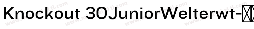 Knockout 30JuniorWelterwt字体转换